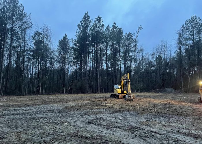 excavating forest ms